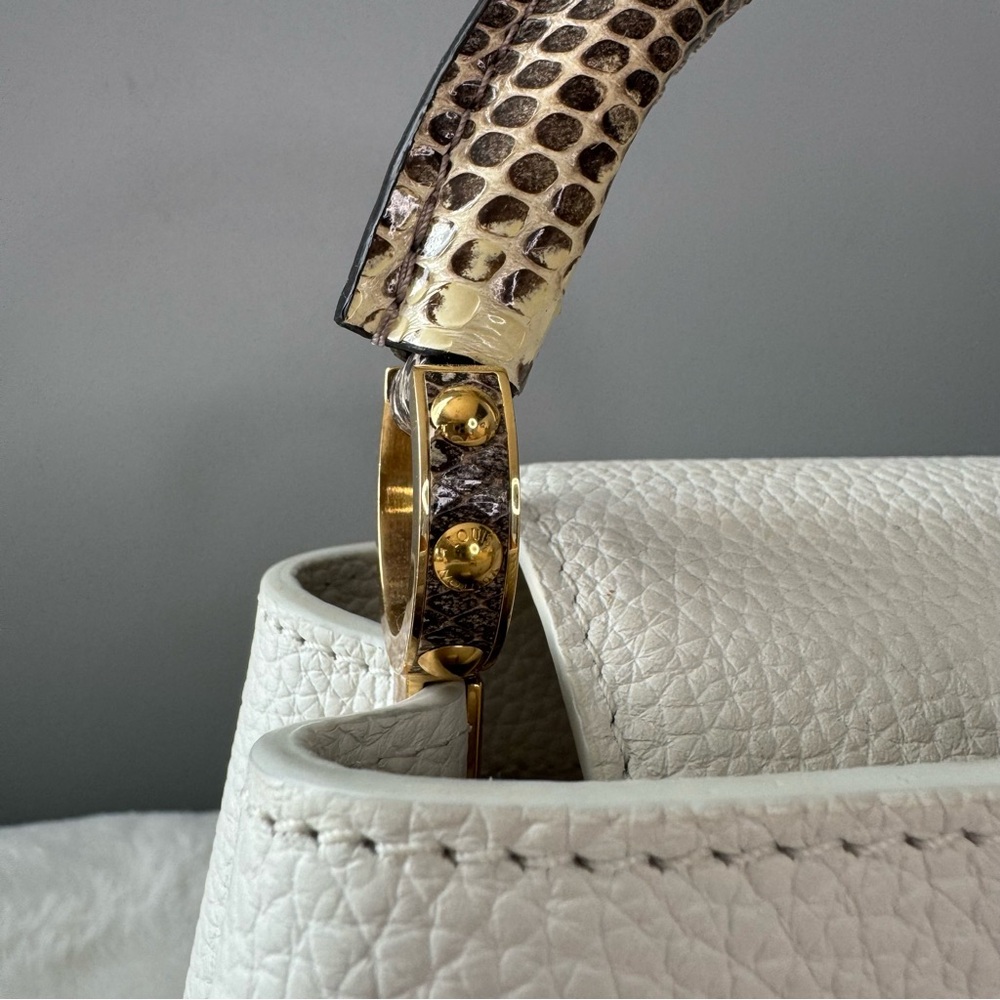 Louis Vuitton Taurillon & Python Leather Capucines Mini Handbag - Picture 4 of 16